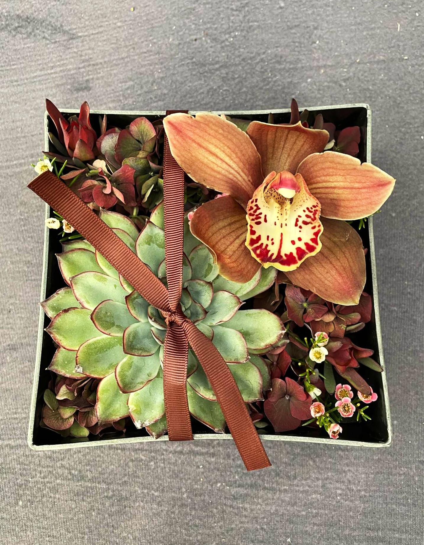 Jule signatur box pyntet med husløg, orkide, hortensia og afsluttet med et brunt bånd. 